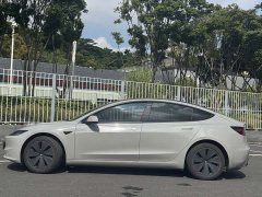 Tesla Model 3 Rear-Wheel Drive - ფოტო 8