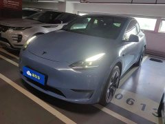 Tesla Model Y Long Range All-Wheel Drive - ფოტო 1