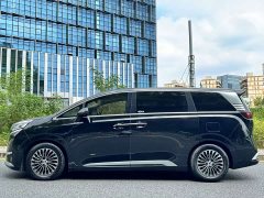 Denza BYD Denza D9 DM-i 970 Luxury - ფოტო 3