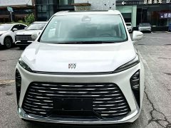 Buick GL8 Luzun Respect Edition - ფოტო 2