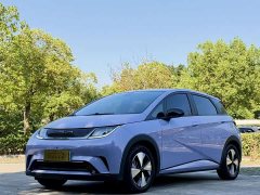 BYD Dolphin 420km Fashion Edition - photo 1