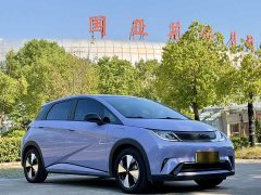 BYD Dolphin 420km Fashion Edition - photo 3