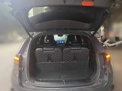 Denza X PHEV Premier Edition - photo 15