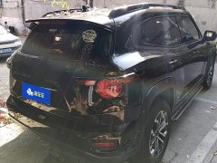 Haval Big Dog PLUS 2.0T Two-Wheel Drive Trendy Wilderness Edition - ფოტო 3