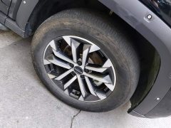 Haval Big Dog PLUS 2.0T Two-Wheel Drive Trendy Wilderness Edition - ფოტო 6