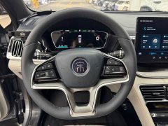 BYD Song Plus New Energy EV Premier - ფოტო 13