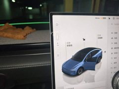 Tesla Model Y L Long Range All-Wheel Drive - ფოტო 10