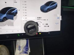 Tesla Model Y L Long Range All-Wheel Drive - ფოტო 8