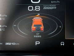 Tank 300 2021 Off-Road Edition 2.0T Conqueror - ფოტო 10