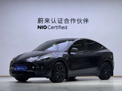 Tesla Model Y Long Range All-Wheel Drive - ფოტო 1