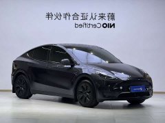 Tesla Model Y Long Range All-Wheel Drive - ფოტო 3