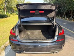 BMW 3 Series Facelift 325Li M Sport Night Edition Package - ფოტო 10