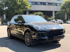 Porsche Cayenne 3.0T Platinum Edition - ფოტო 3