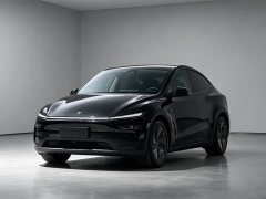 Tesla Model Y Rear-Wheel Drive - ფოტო 1