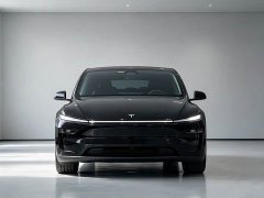 Tesla Model Y Rear-Wheel Drive - ფოტო 2