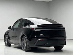 Tesla Model Y Rear-Wheel Drive - ფოტო 7