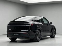Tesla Model Y Rear-Wheel Drive - ფოტო 8
