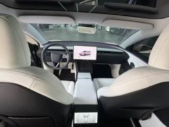 Tesla Model 3 Rear-Wheel Drive - ფოტო 5