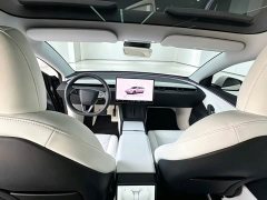 Tesla Model 3 Rear-Wheel Drive - ფოტო 8