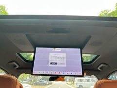 Li Auto L9 Max - ფოტო 20
