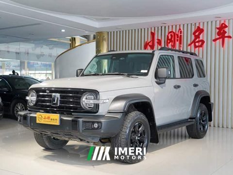 2021 Tank 300 Off-Road Edition 2.0T Conqueror - ავტომობილი ჩინეთიდან
