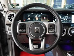 Tank 300 Off-Road Edition 2.0T Conqueror - ფოტო 8