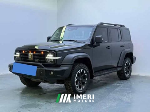 2025 Tank 300 New Energy Hi4-T 37.1kWh - ავტომობილი ჩინეთიდან