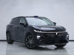Voyah Lantu Zhiyin Rear-Wheel Drive Qiankun Edition - ფოტო 3