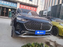 Great Wall WEY Mocha 2021 2.0T Two-Wheel Drive Premium Edition - ფოტო 2