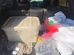 Mitsubishi Yage 1.5T CVT FWD Dream Edition - ფოტო 4
