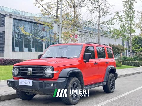 2024 Tank 300 2.0T Conqueror - ავტომობილი ჩინეთიდან