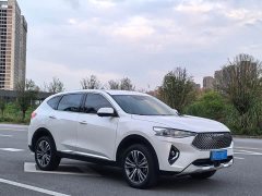 Haval F7 2.0T Two-Wheel Drive i-Range - ფოტო 3