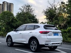 Haval F7 2.0T Two-Wheel Drive i-Range - ფოტო 4