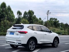 Haval F7 2.0T Two-Wheel Drive i-Range - ფოტო 6