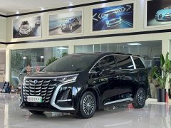 Denza BYD Denza D9 2025 DM-i Two-Wheel Drive Flagship Edition - ფოტო 1