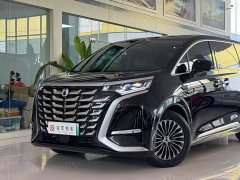 Denza BYD Denza D9 2025 DM-i Two-Wheel Drive Flagship Edition - ფოტო 16