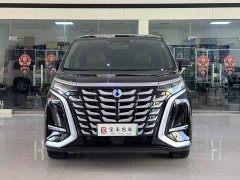Denza BYD Denza D9 2025 DM-i Two-Wheel Drive Flagship Edition - ფოტო 2