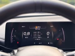Trumpchi Yingbao 270T DCT Yingbao R-Style Dynamic Edition - ფოტო 20