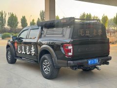 Ford F-150 Raptor 3.5T Raptor - ფოტო 9