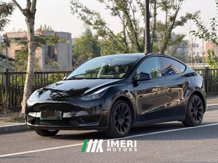 Tesla Model Y Rear-Wheel Drive - ავტომობილი ჩინეთიდან