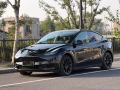 Tesla Model Y Rear-Wheel Drive - ფოტო 1