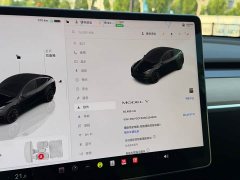 Tesla Model Y Rear-Wheel Drive - ფოტო 12
