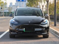 Tesla Model Y Rear-Wheel Drive - ფოტო 2
