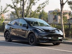 Tesla Model Y Rear-Wheel Drive - ფოტო 3