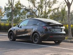 Tesla Model Y Rear-Wheel Drive - ფოტო 4