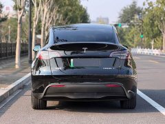 Tesla Model Y Rear-Wheel Drive - ფოტო 6