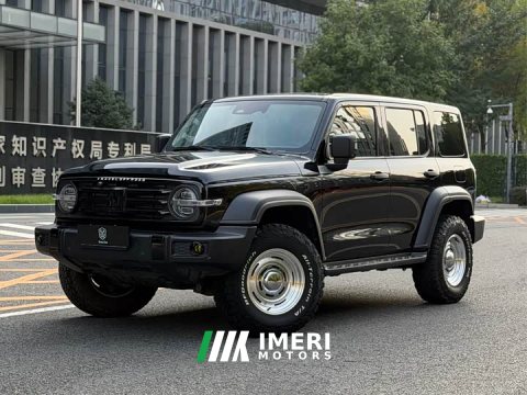 2022 Tank 300 2023 Off-Road Edition 2.0T Conqueror - ავტომობილი ჩინეთიდან