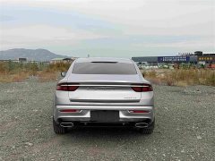 Geely Xingrui 2.0T Diesel Flagship - ფოტო 5