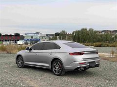 Geely Xingrui 2.0T Diesel Flagship - ფოტო 6