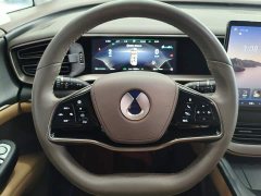 Denza BYD Denza D9 2022 DM-i 970 AWD Premium Edition - ფოტო 9